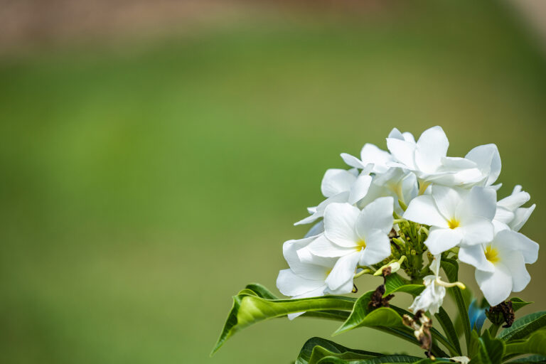 Our Commitment to Sustainability