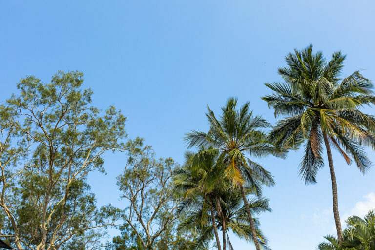 Why May Is the Smartest Time to Visit Airlie Beach (Before Winter Peaks)